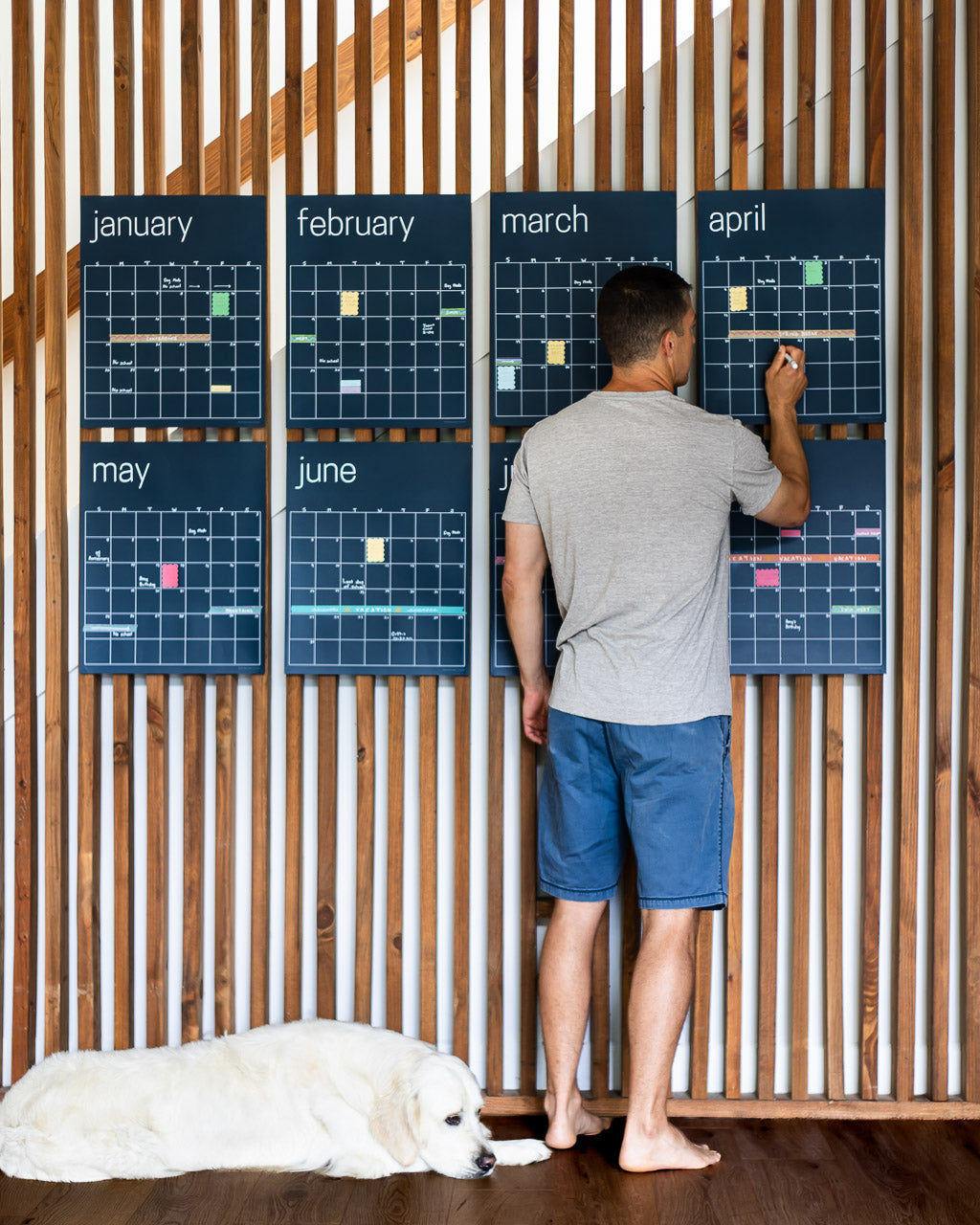 Reusable Large Wall Calendar in Navy Blue | 16 x 20 inches | Undated