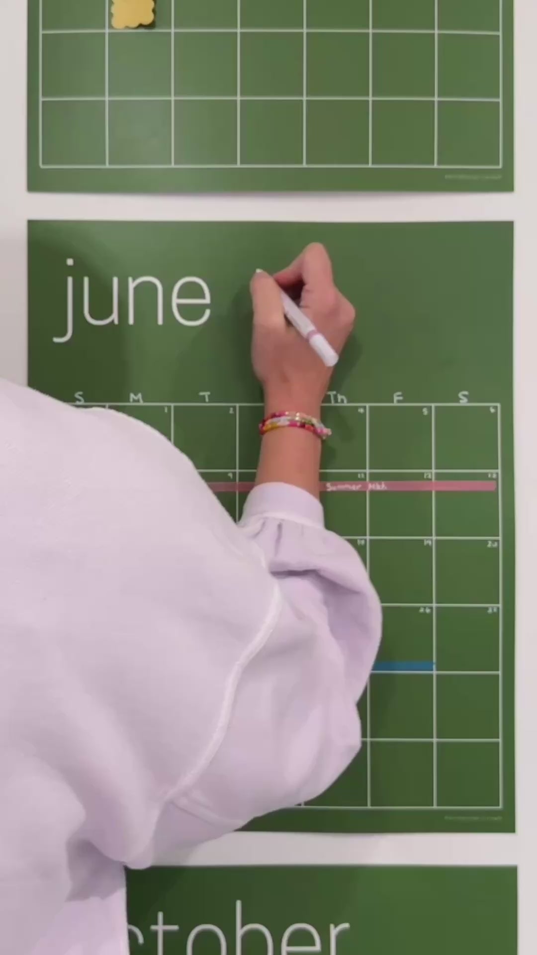 Reusable Large Wall Calendar in Green | 16 x 20 inches | Undated